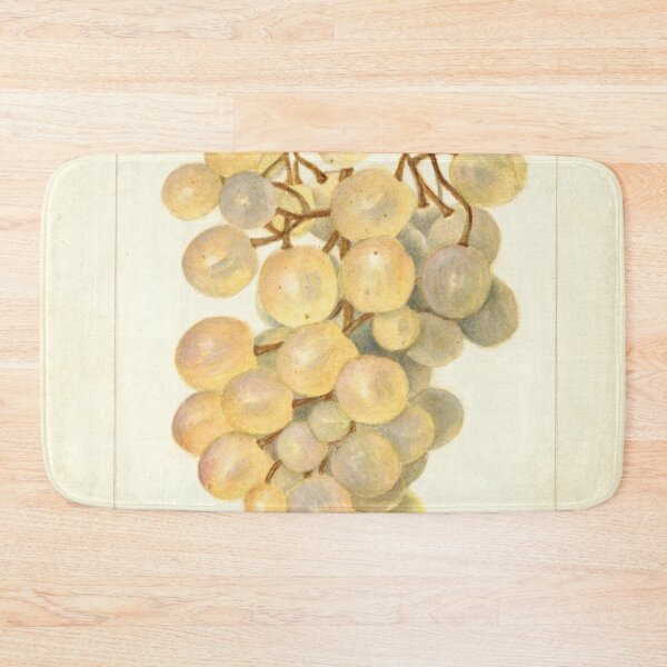 Item preview, Vitis Kurtelaska, grapes Scientific Vintage Illustration designed and sold by Lacasadellora.