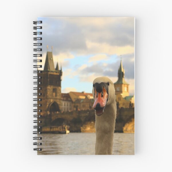 Item preview, White Swan Photobombing Charles Bridge in Prague designed and sold by KaSaPo.