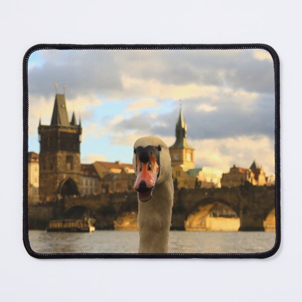 Item preview, White Swan Photobombing Charles Bridge in Prague designed and sold by KaSaPo.