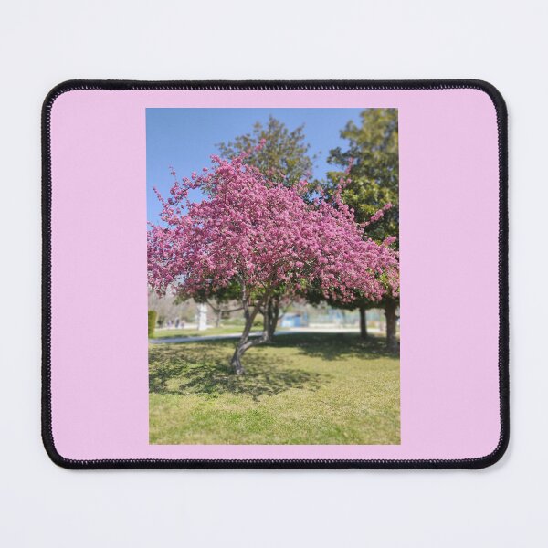 Item preview, Cherry Blossom Spring designed and sold by nelllkata.