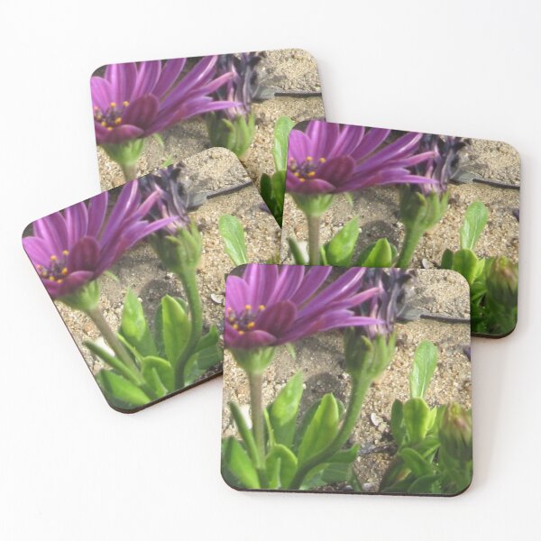 Item preview, violet flower gift to my lovely  designed and sold by sadeek1021953Ss.