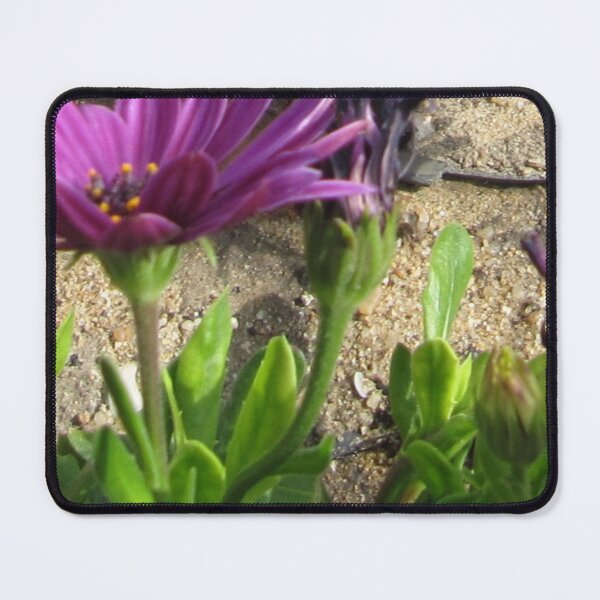 Item preview, violet flower gift to my lovely  designed and sold by sadeek1021953Ss.