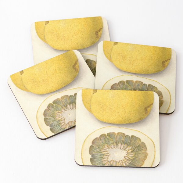 Item preview, Citrus paradisi, Grapefruit Scientific Vintage Illustration designed and sold by Lacasadellora.