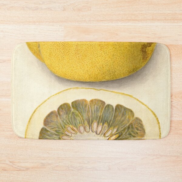 Item preview, Citrus paradisi, Grapefruit Scientific Vintage Illustration designed and sold by Lacasadellora.
