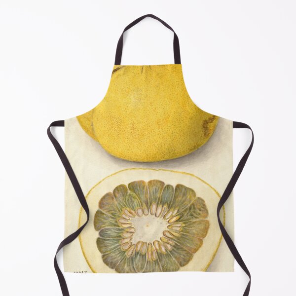 Item preview, Citrus paradisi, Grapefruit Scientific Vintage Illustration designed and sold by Lacasadellora.