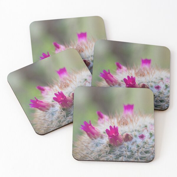 Item preview, Mammillaria Cactus flower in bloom designed and sold by mohamedeldin.