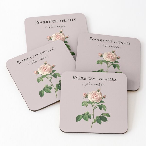 Item preview, Hundred-leaf rose bush designed and sold by Aginwulf.