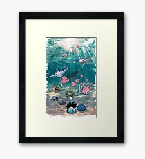 Shallow Waters Framed Print