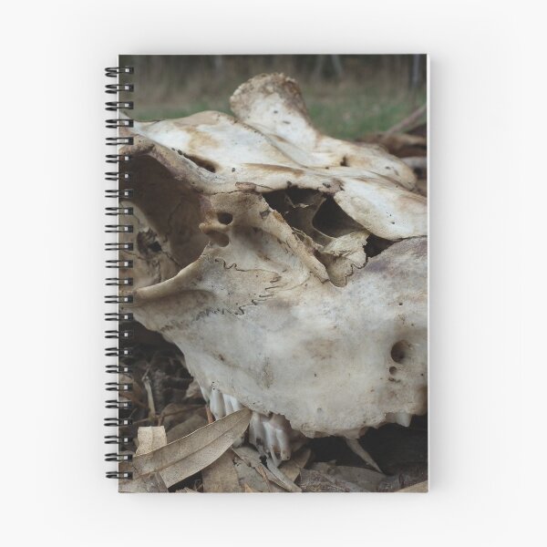 Aperçu de l'œuvre Beauté Decay créée et vendue par Tracey Hansell.