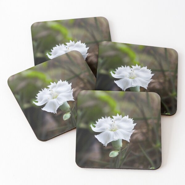 Item preview, White cloves flower designed and sold by mohamedeldin.