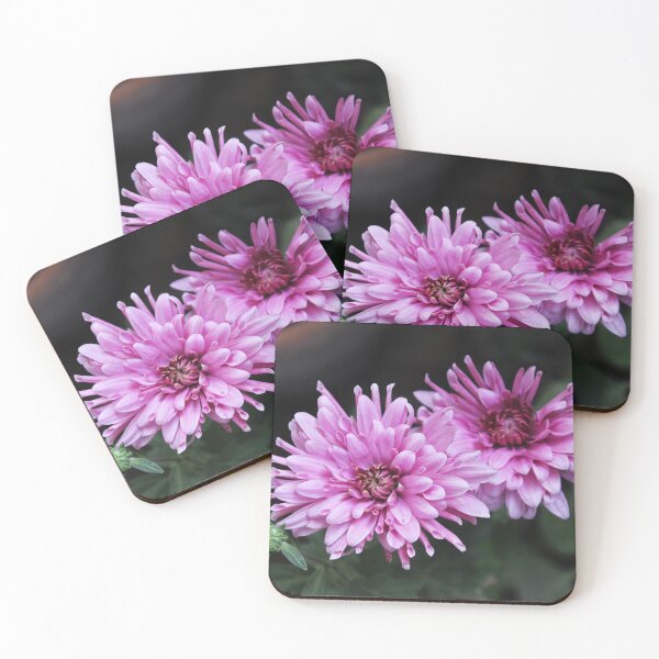 Item preview, Purple Chrysanthemums flower designed and sold by mohamedeldin.