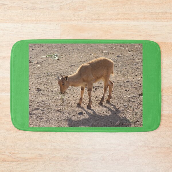Item preview, Young Cuviers Gazelle Spain designed and sold by eddiebarronshop.