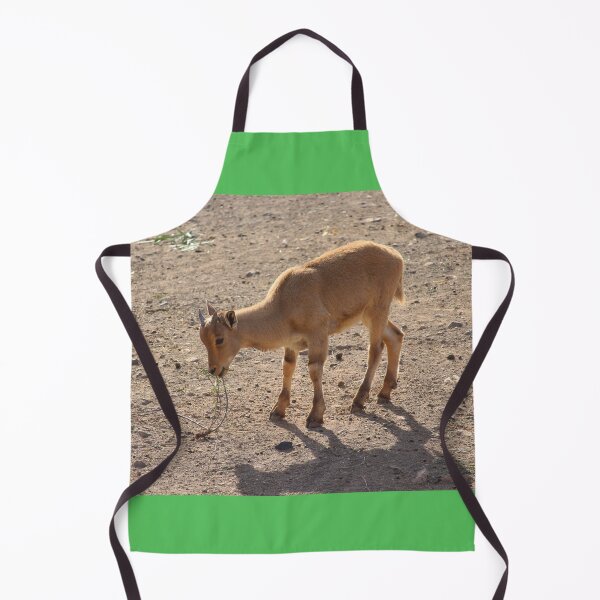 Item preview, Young Cuviers Gazelle Spain designed and sold by eddiebarronshop.