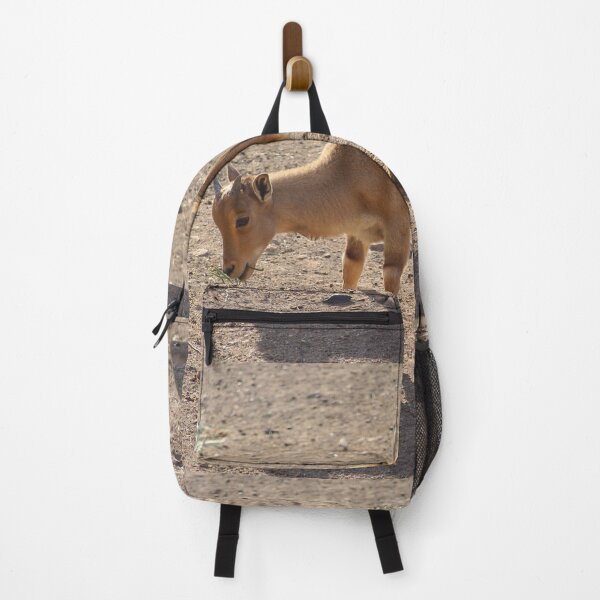 Item preview, Young Cuviers Gazelle Spain designed and sold by eddiebarronshop.
