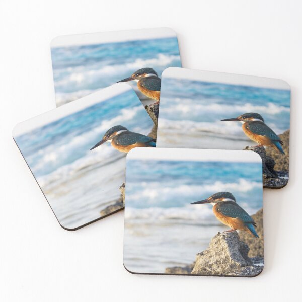 Item preview, Common kingfisher  standing on the rocks at sea shore designed and sold by mohamedeldin.
