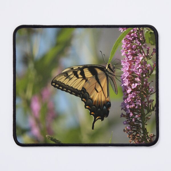 Item preview, Eastern Swallowtail, on purple flower. designed and sold by Artsy-Creator.