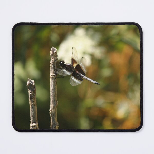 Item preview, Dragonfly Resting designed and sold by Artsy-Creator.