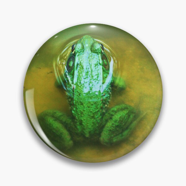 Item preview, Bull Frog Resting designed and sold by Artsy-Creator.