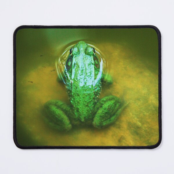 Item preview, Bull Frog Resting designed and sold by Artsy-Creator.