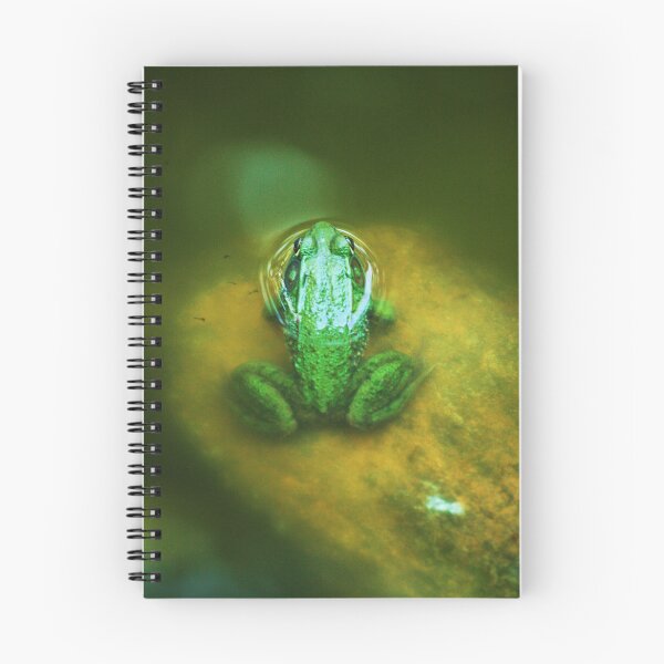 Item preview, Bull Frog Resting designed and sold by Artsy-Creator.