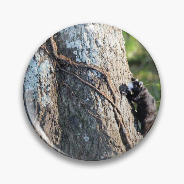 Item preview, Black Fox Squirrel  designed and sold by Cynthia48.