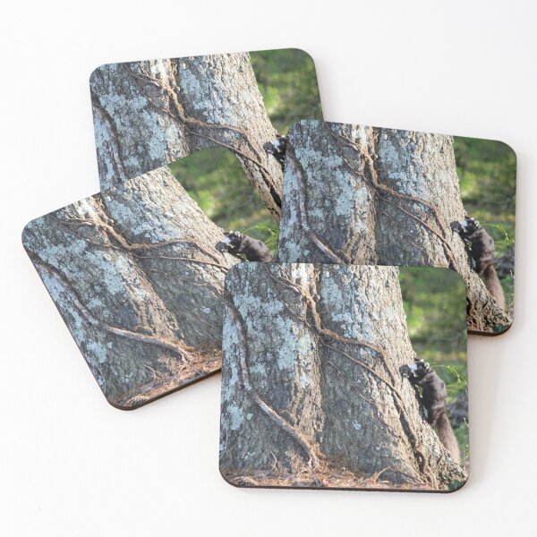 Item preview, Black Fox Squirrel  designed and sold by Cynthia48.