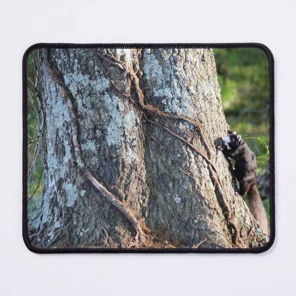 Item preview, Black Fox Squirrel  designed and sold by Cynthia48.