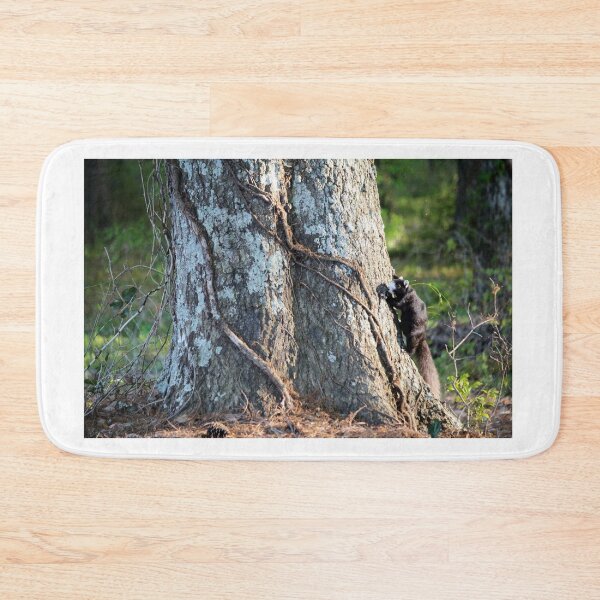 Item preview, Black Fox Squirrel  designed and sold by Cynthia48.