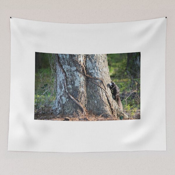 Item preview, Black Fox Squirrel  designed and sold by Cynthia48.
