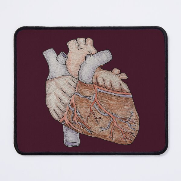 Item preview, anatomical heart designed and sold by kidotw.