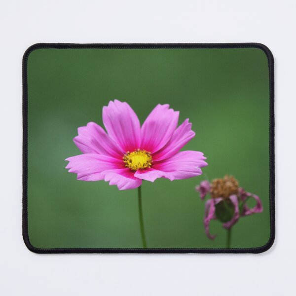 Item preview, Blooming, and bloomed designed and sold by Artsy-Creator.