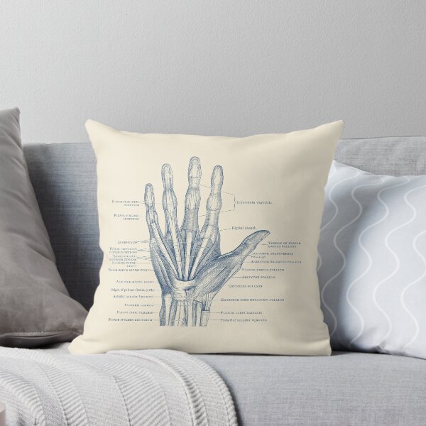 Item preview, Human Hand Diagram - Ligaments and Bones designed and sold by VAposters.