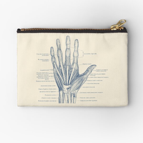 Item preview, Human Hand Diagram - Ligaments and Bones designed and sold by VAposters.