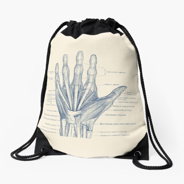 Item preview, Human Hand Diagram - Ligaments and Bones designed and sold by VAposters.