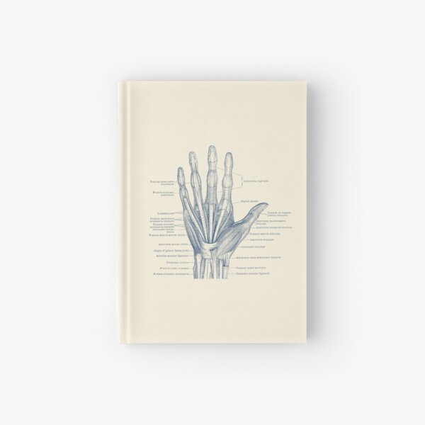 Item preview, Human Hand Diagram - Ligaments and Bones designed and sold by VAposters.