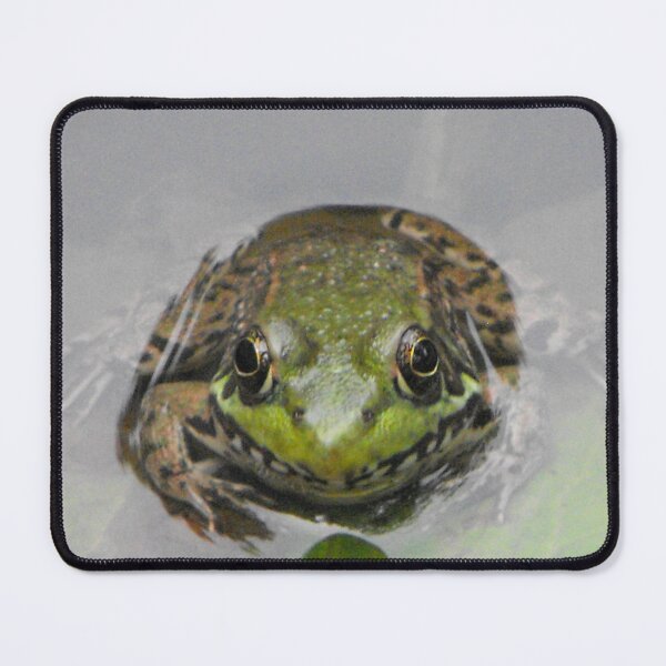 Item preview, Bull Frog on Alert designed and sold by Artsy-Creator.