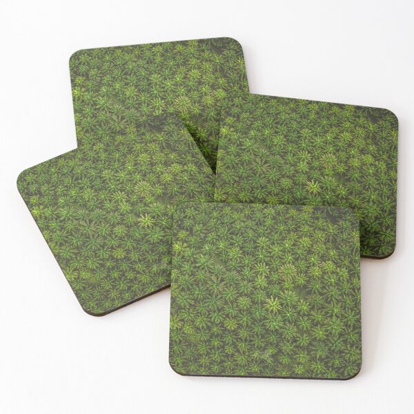 Item preview, Palms designed and sold by Fedor Razuvaev.