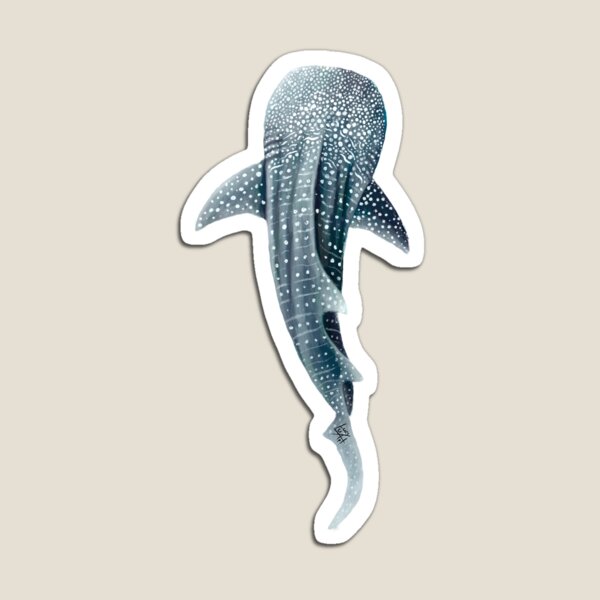 Whaleshark Magnet
