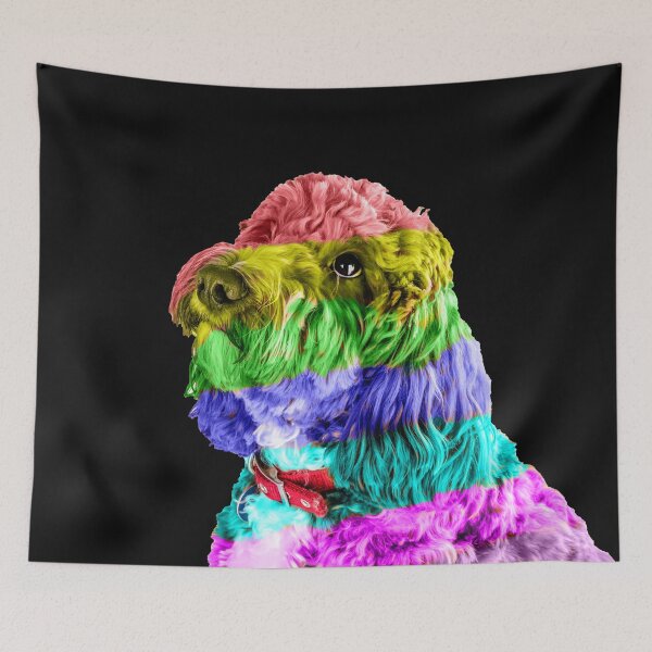 Item preview, Rainbow Cockapoo 2 designed and sold by Paul Thompson Photography.