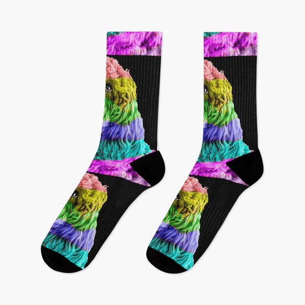 Item preview, Rainbow Cockapoo 2 designed and sold by Paul Thompson Photography.