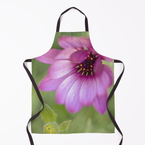 Item preview, Delightfully Pink - Osteosperumum Flower - Daisy designed and sold by imaginethis.