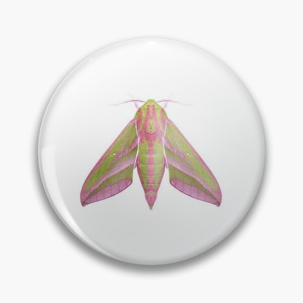 Item preview, Pink and Green Elephant Hawkmoth designed and sold by Magironi.