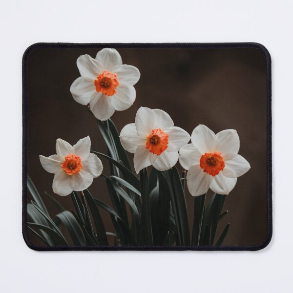 Item preview, Daffodil Flowers designed and sold by HectorCantres.