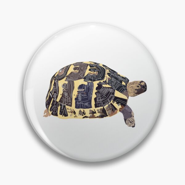 Item preview, Spur Thighed Tortoise designed and sold by Meggie-moos.