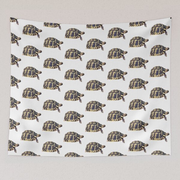 Item preview, Spur Thighed Tortoise designed and sold by Meggie-moos.