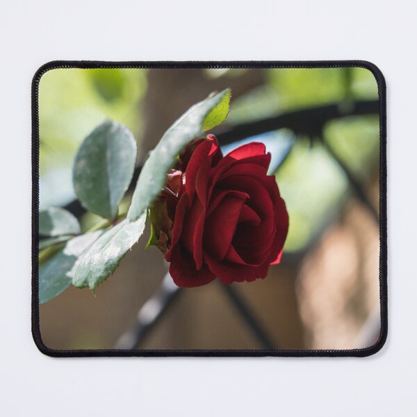 Item preview, One Fab Crimson Rose Over the Fence designed and sold by Georgia Mizuleva.