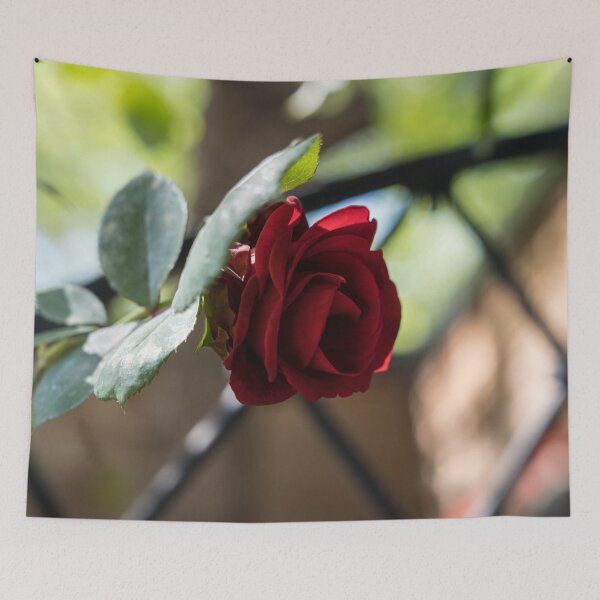 Item preview, One Fab Crimson Rose Over the Fence designed and sold by Georgia Mizuleva.
