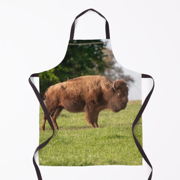 Item preview, American Bison bull standing in a grassy ranch pasture designed and sold by Stretch Clendennen.