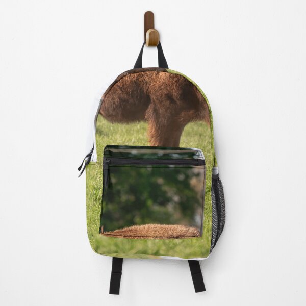 Item preview, American Bison bull standing in a grassy ranch pasture designed and sold by Stretch Clendennen.