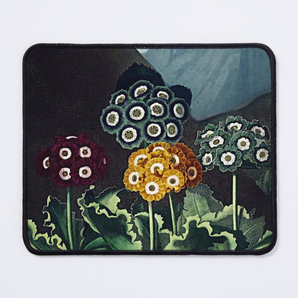Item preview, Botanical Art Temple Of Flora Auriculas designed and sold by JoolyA.